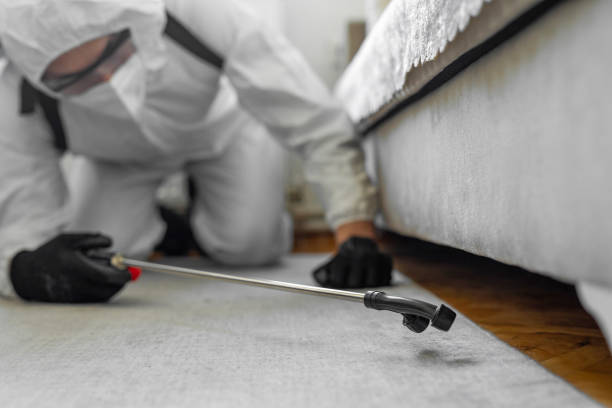 Professional Bed Bug Control technician working in Humboldt County County, NV